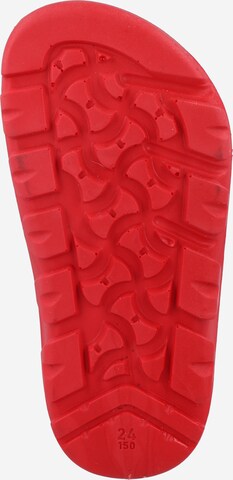 BIRKENSTOCK Sandals & Slippers in Red