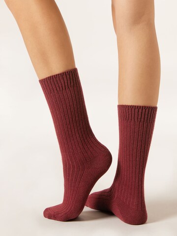 CALZEDONIA Socken in Rot
