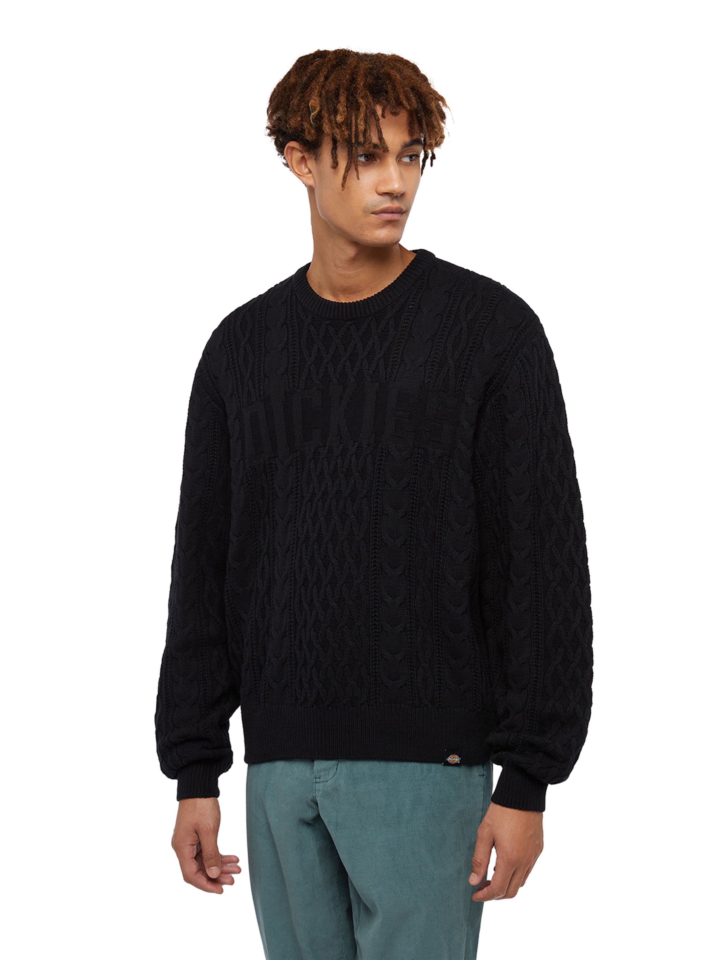 DICKIES Sweater in Black: front