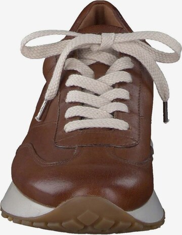 Paul Green Sneakers laag in Bruin