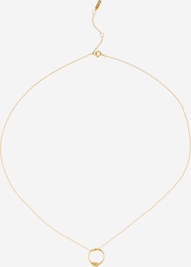 ANIA HAIE Верижка 'Modern Circle' в злато, Преглед на продукта