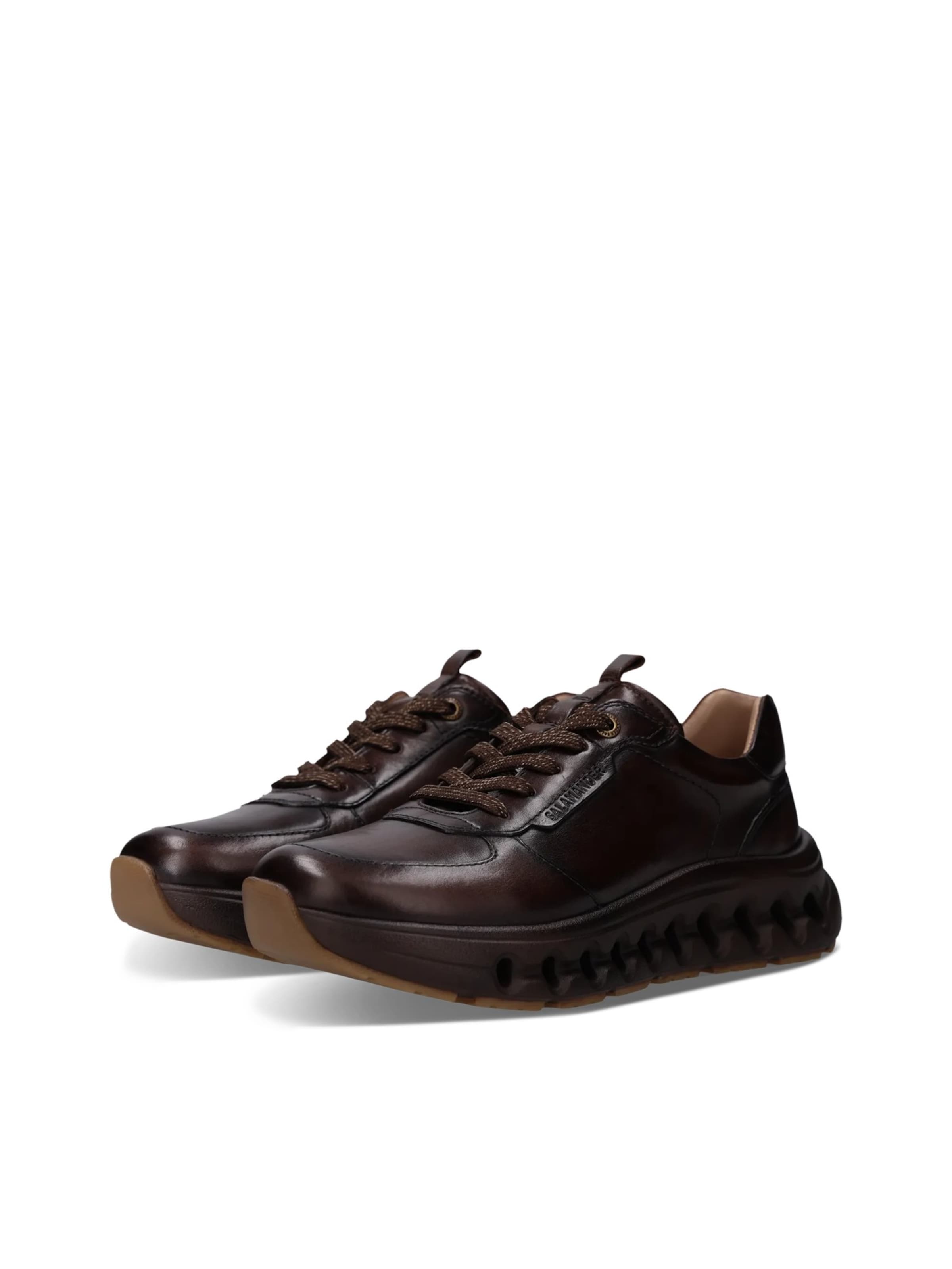 Baskets basses SALAMANDER en marron