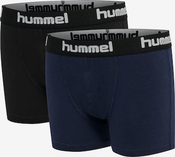 Hummel Underpants 'Nolan' in Blue: front