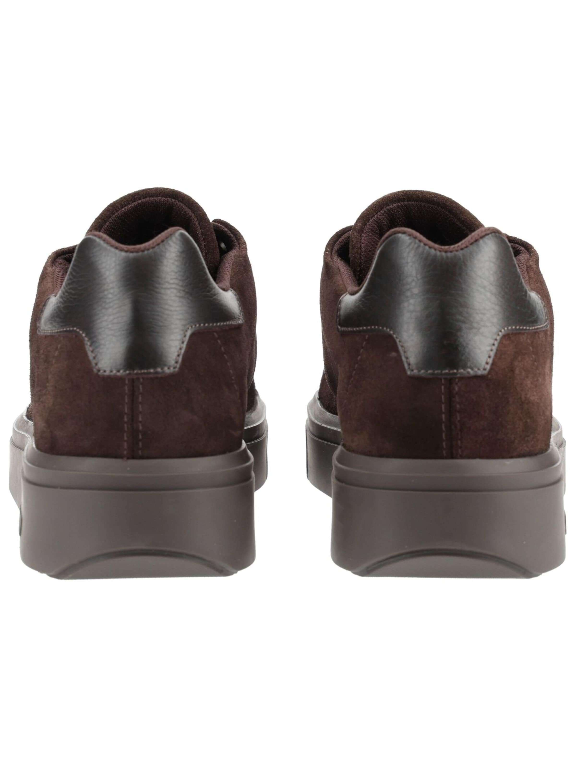 STEVE MADDEN Platform trainers in Brown