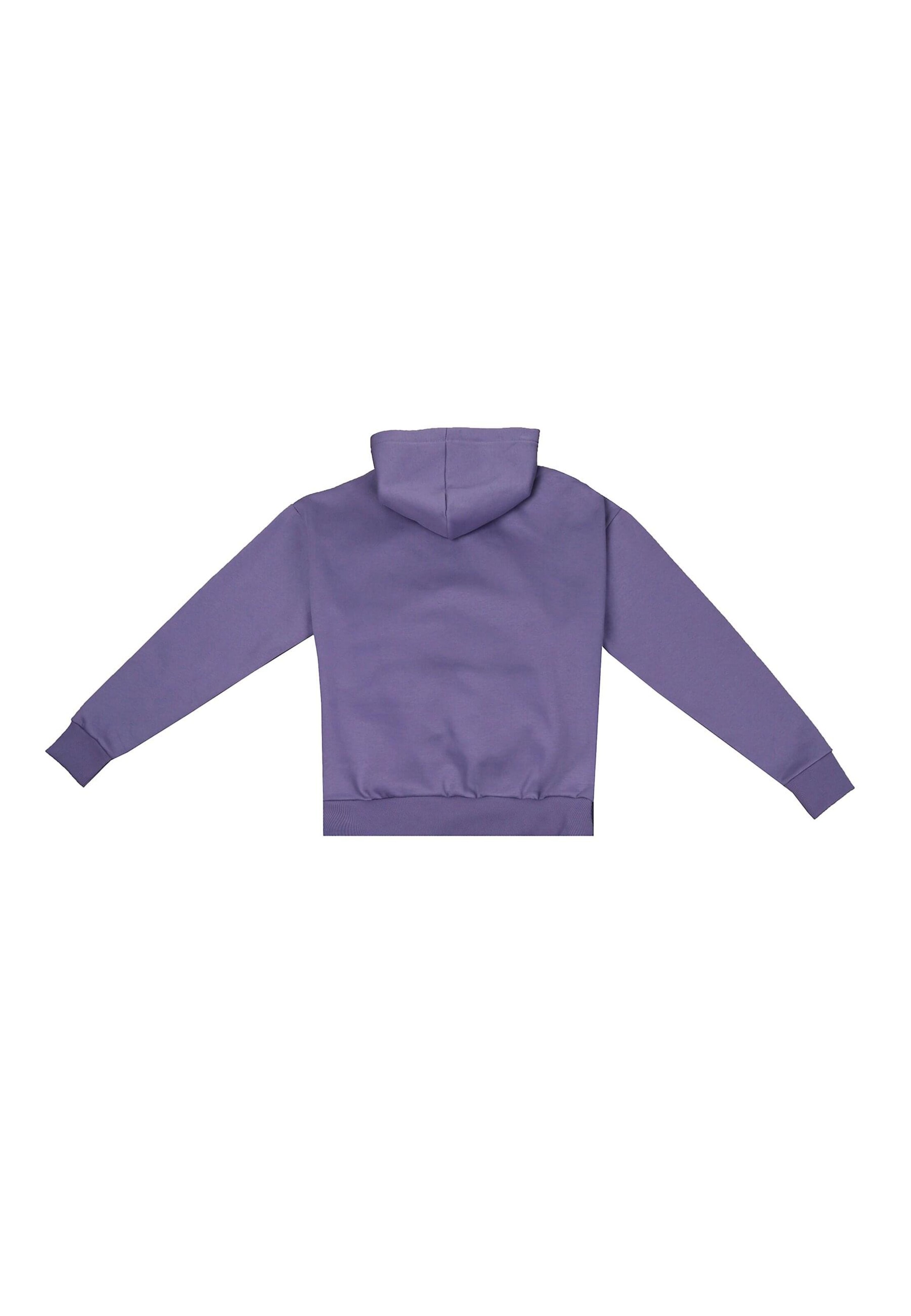 Dropsize Sweatshirt in Blauw