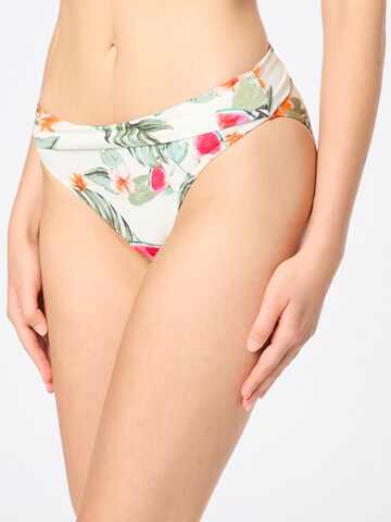 Banana Moon - Braga de bikini en beige: frente