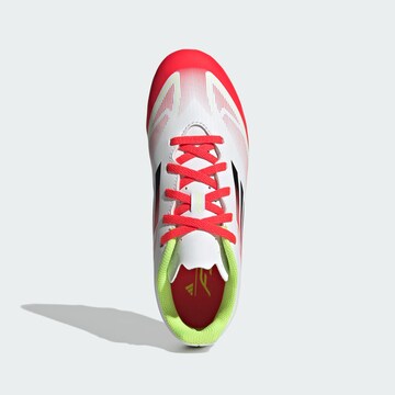 ADIDAS PERFORMANCE Sports shoe 'F50 Club' in White