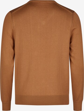 HECHTER PARIS Sweater in Brown