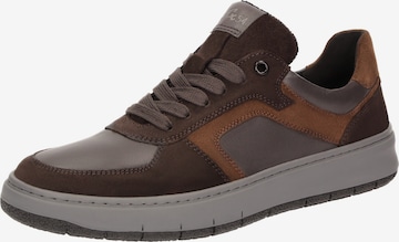 SIOUX Sneaker ' Lorundos-700 ' in Braun: Vorderseite
