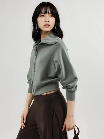 Giacca di felpa di Busem in verde