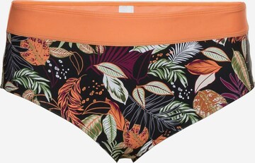 SHEEGO Bikini Bottoms in Mixed colors: front