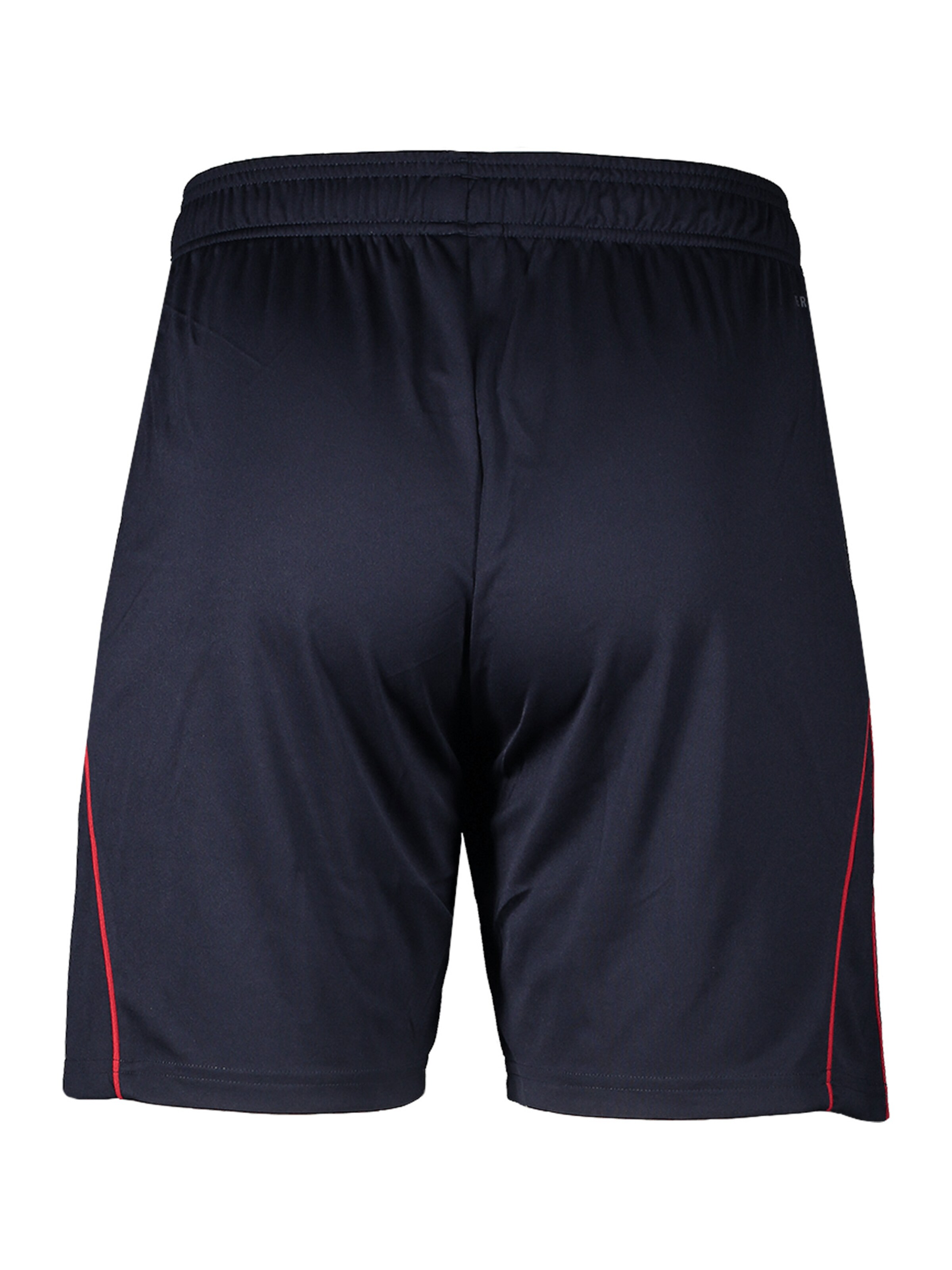 ADIDAS PERFORMANCE Regular Sporthose 'Fortuna Düsseldorf Short 2025/2026' in Blau