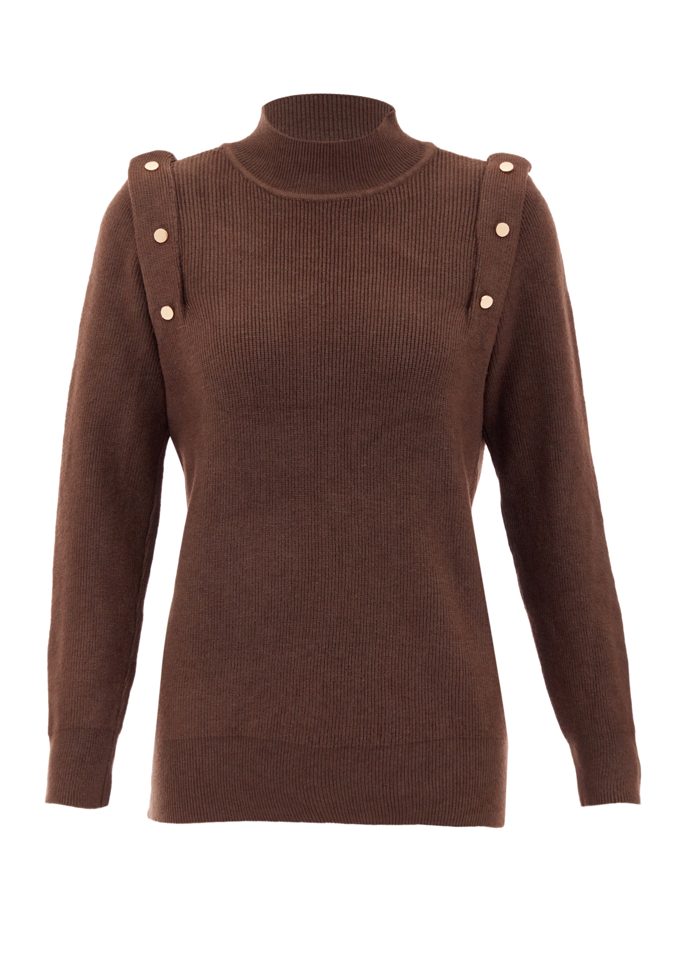 caspio Sweater in Brown: front
