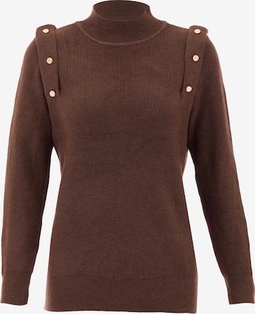 caspio Sweater in Brown: front
