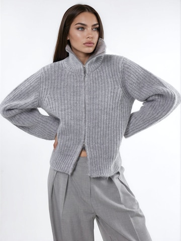 Hiccup Knit cardigan in Grey