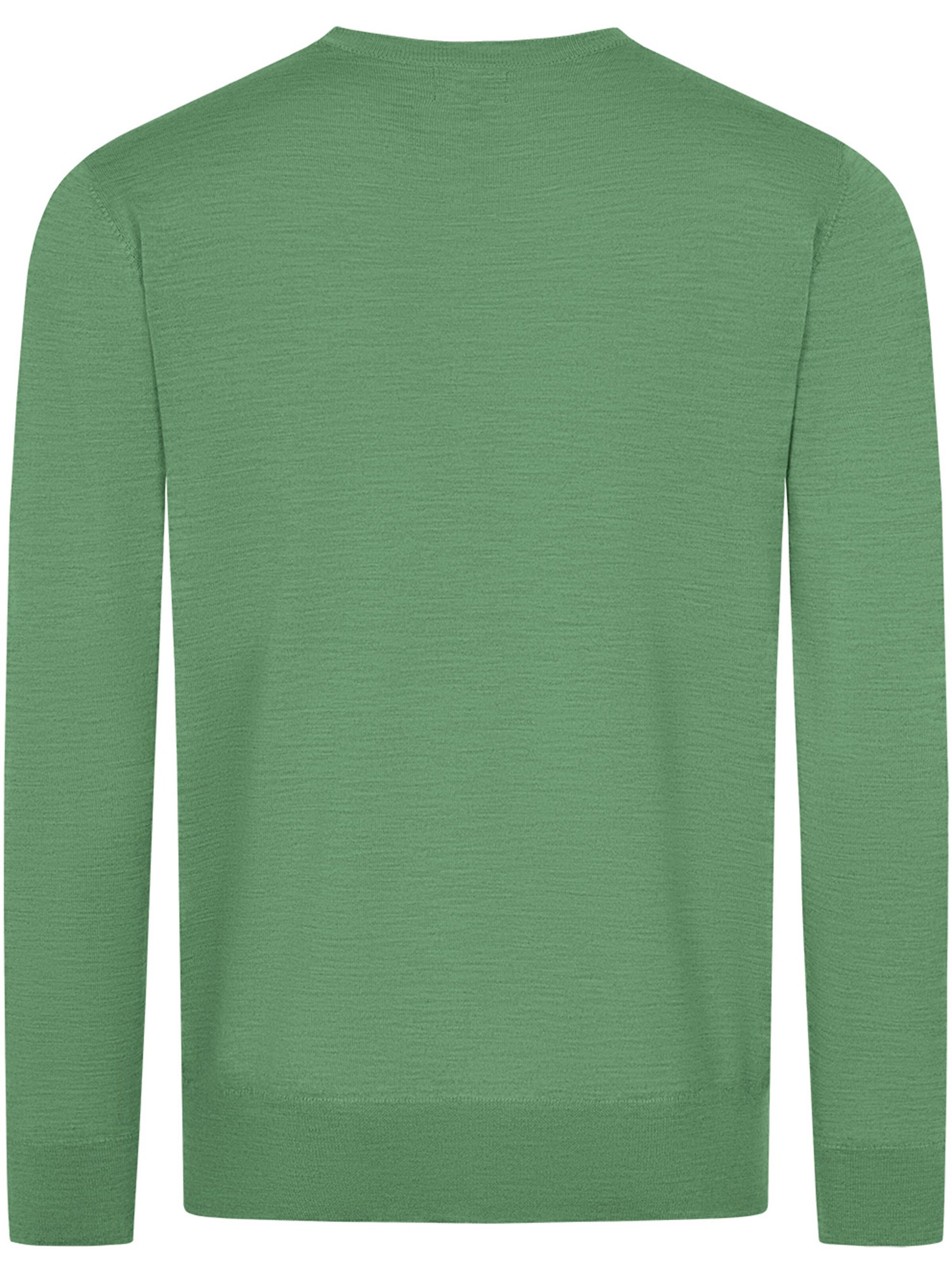 GIESSWEIN Pullover in Grün