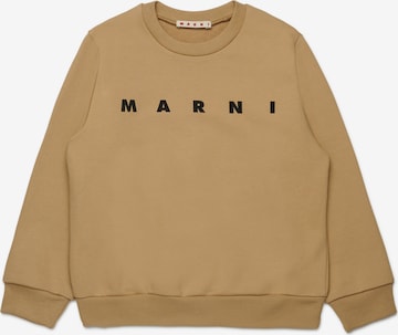 Marni Свитшот в Бежевый: спереди