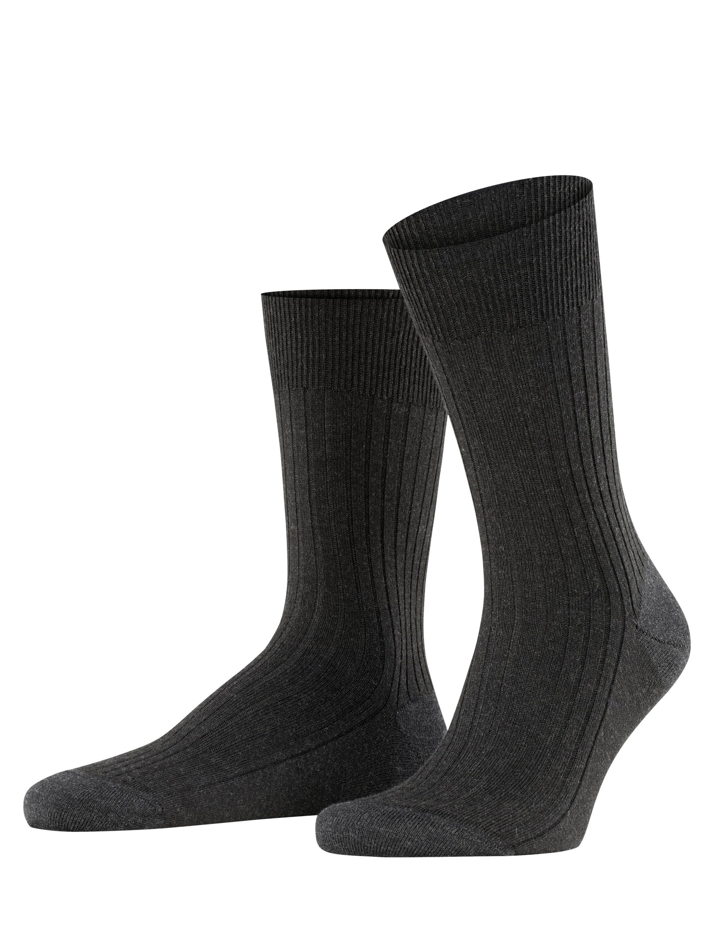 FALKE Socks 'Bristol Pure' in Grey
