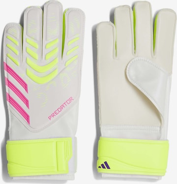 ADIDAS SPORTSWEAR Sporthandschoenen 'Pred' in Wit: voorkant
