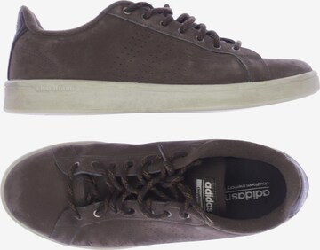 ADIDAS NEO Sneakers & Trainers in 43,5 in Brown: front