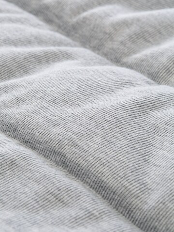 TOM TAILOR DENIM Winterjacke in Grau