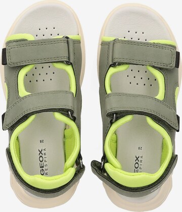 GEOX Sandals & Slippers in Green