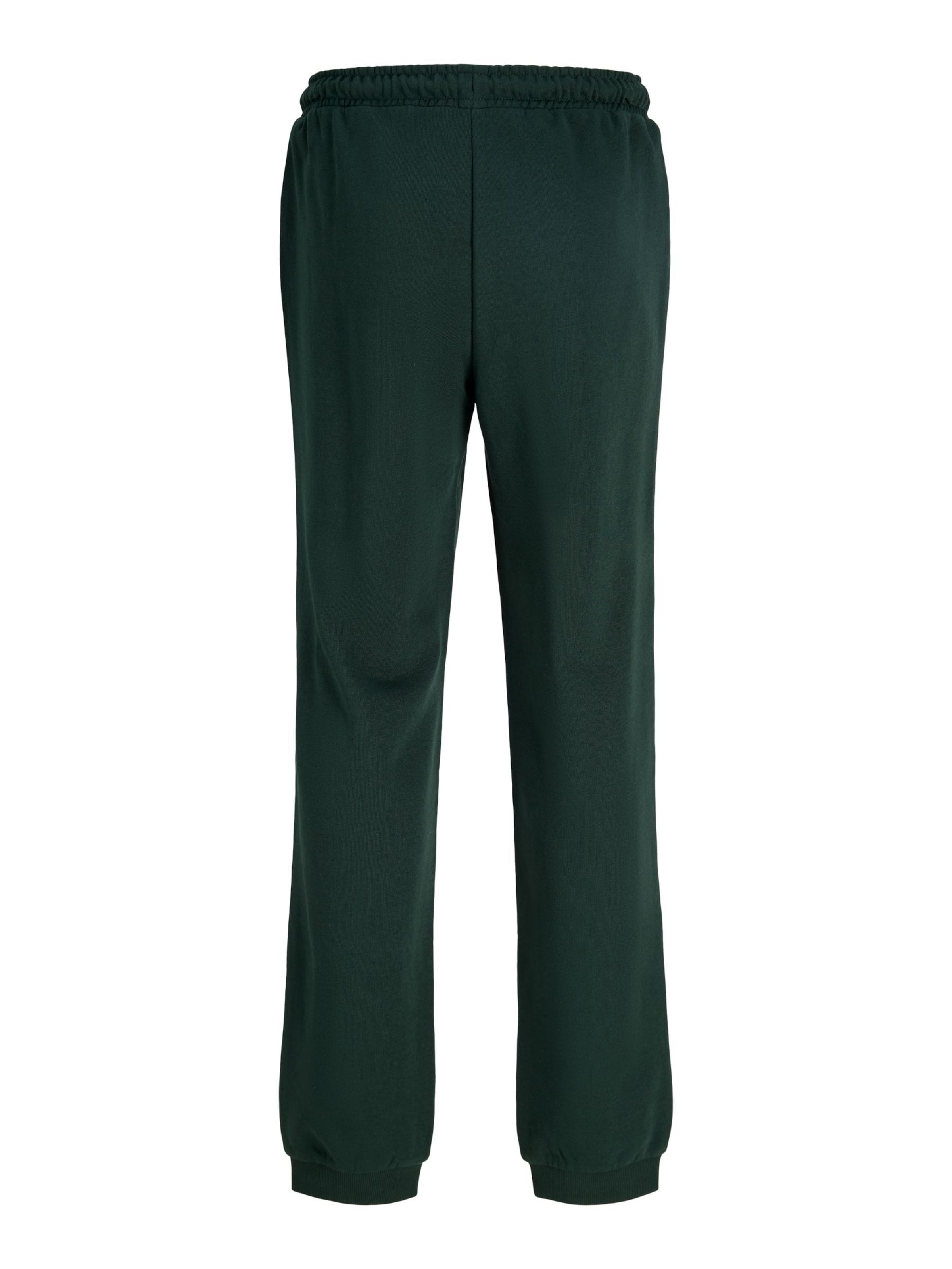 Jack & Jones Junior Tapered Bukser 'JJIGORDON' i grøn