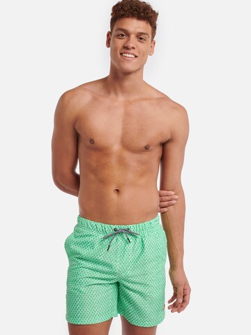 Regular Shorts de bain Shiwi en vert : devant