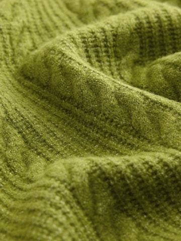 Next - Jersey en verde