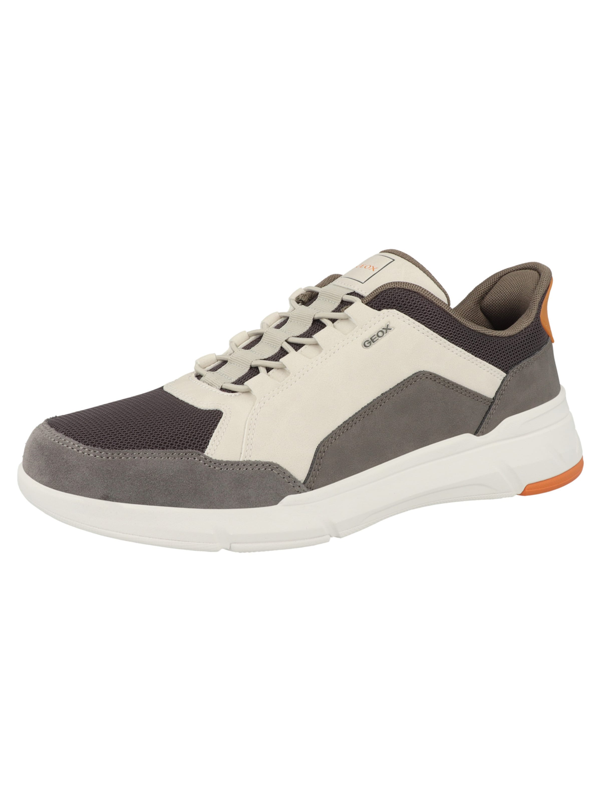 Baskets basses 'Plus A' GEOX en gris : devant