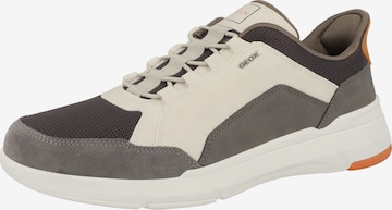 Baskets basses 'Plus A' GEOX en gris : devant