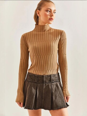 Bianco Lucci Sweater in Brown: front