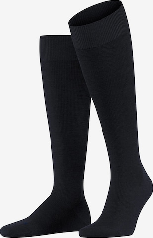 FALKE Knee High Socks 'Energizing Wool' in Blue: front