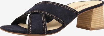 Paul Green Mules in Blue: front