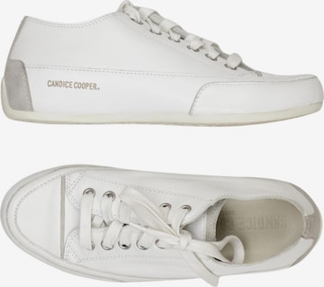 Candice Cooper Sneaker 35 in Weiß: Vorderseite