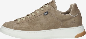 SANSIBAR Sneaker in Beige