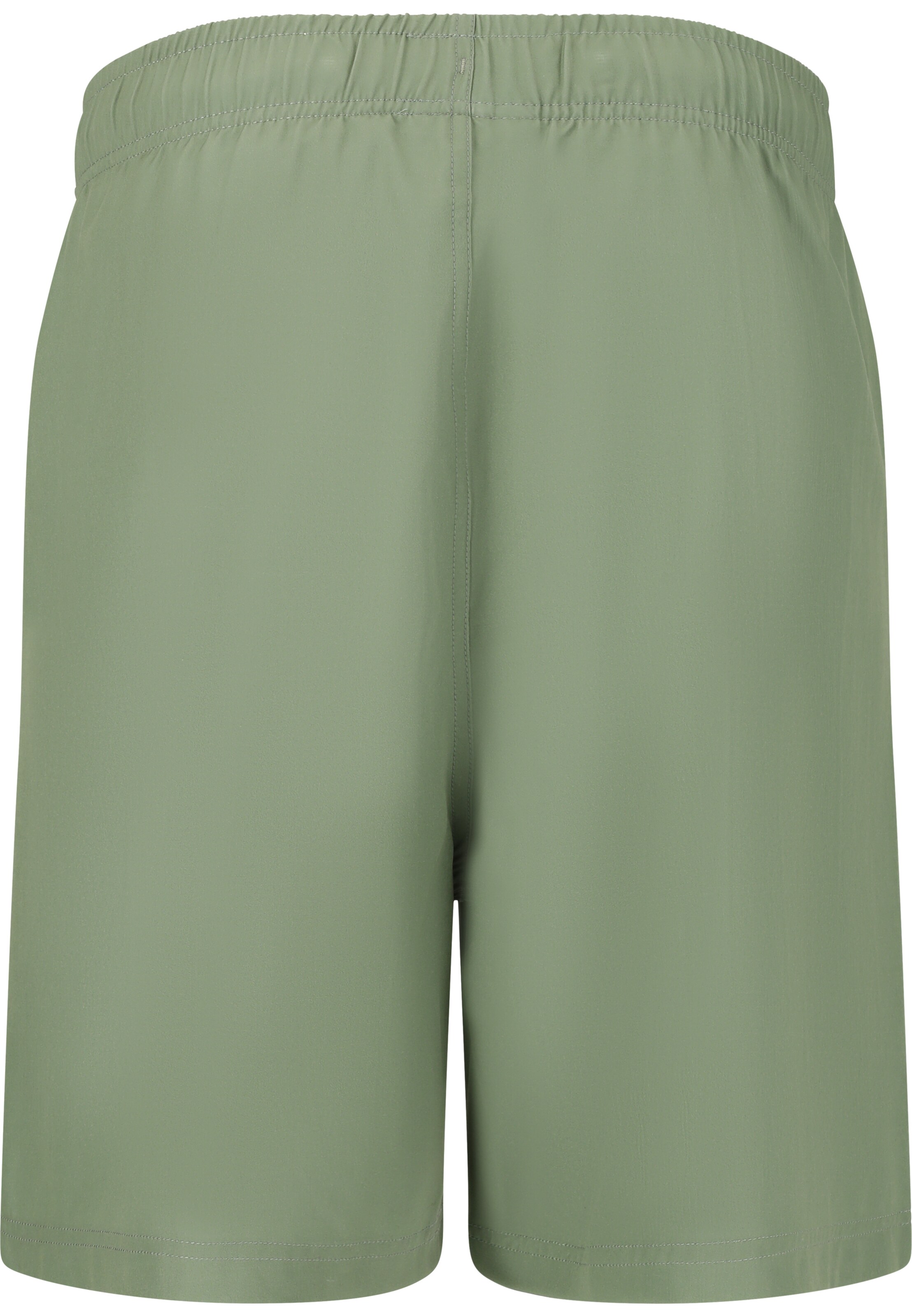 Cruz Board Shorts 'Baumville' in Green