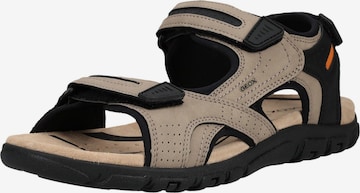Sandales de randonnée GEOX en beige : devant