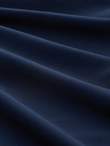 TOM TAILOR Regular Trousers in Blue