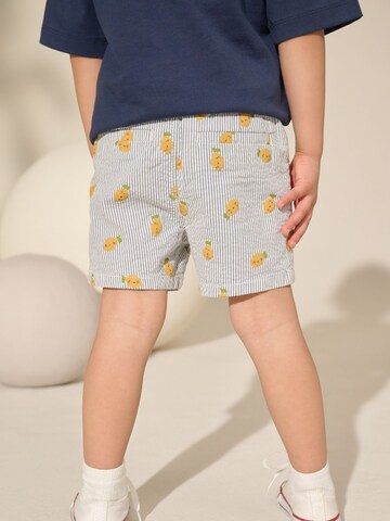 Next Regular Broek in Gemengde kleuren