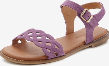 LASCANA - Sandalias en lila: frente