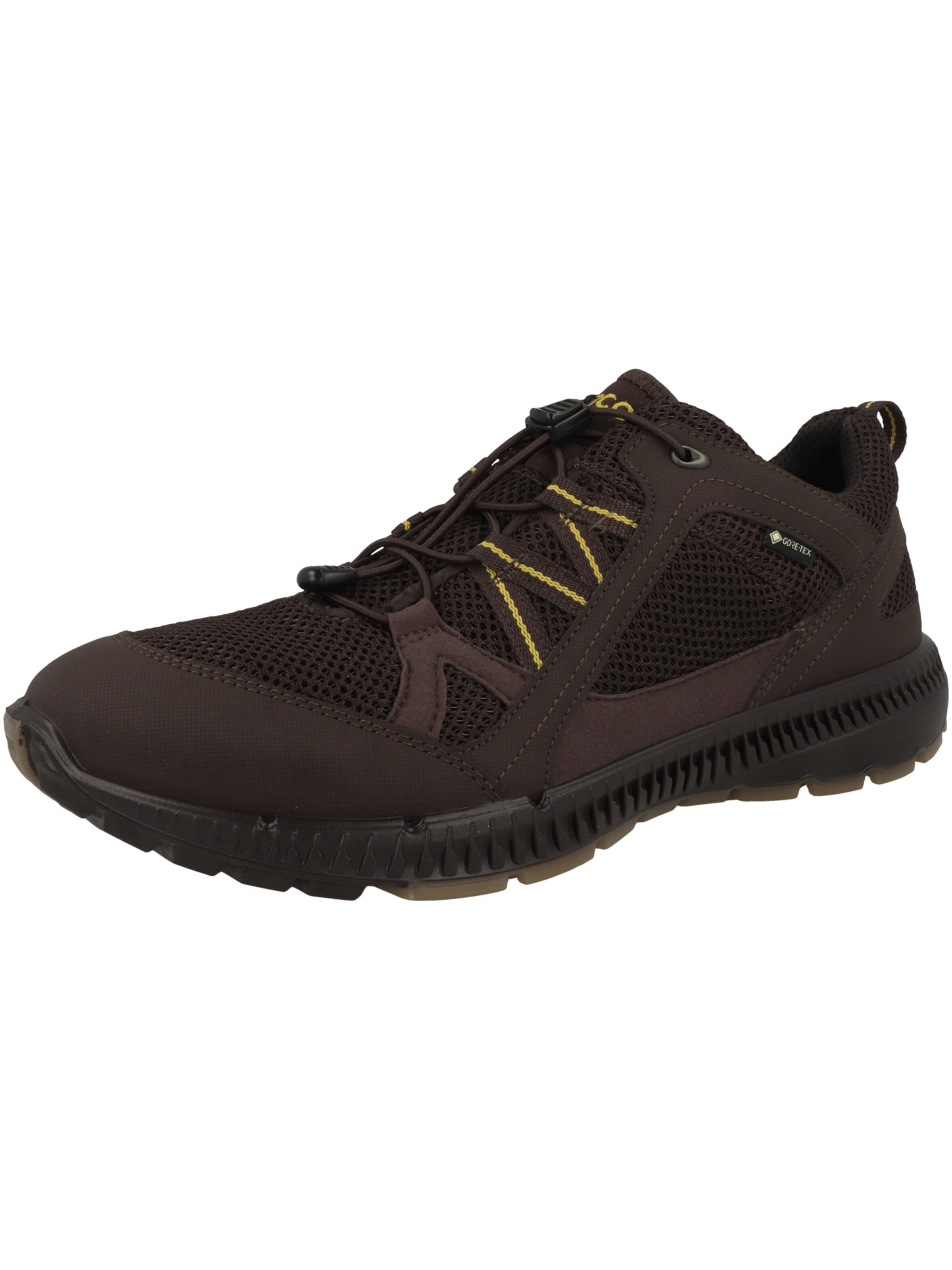 Scarpa bassa 'Terracruise II' di ECCO in marrone: frontale