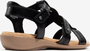 Minnetonka Sandal 'Sonya' in Black