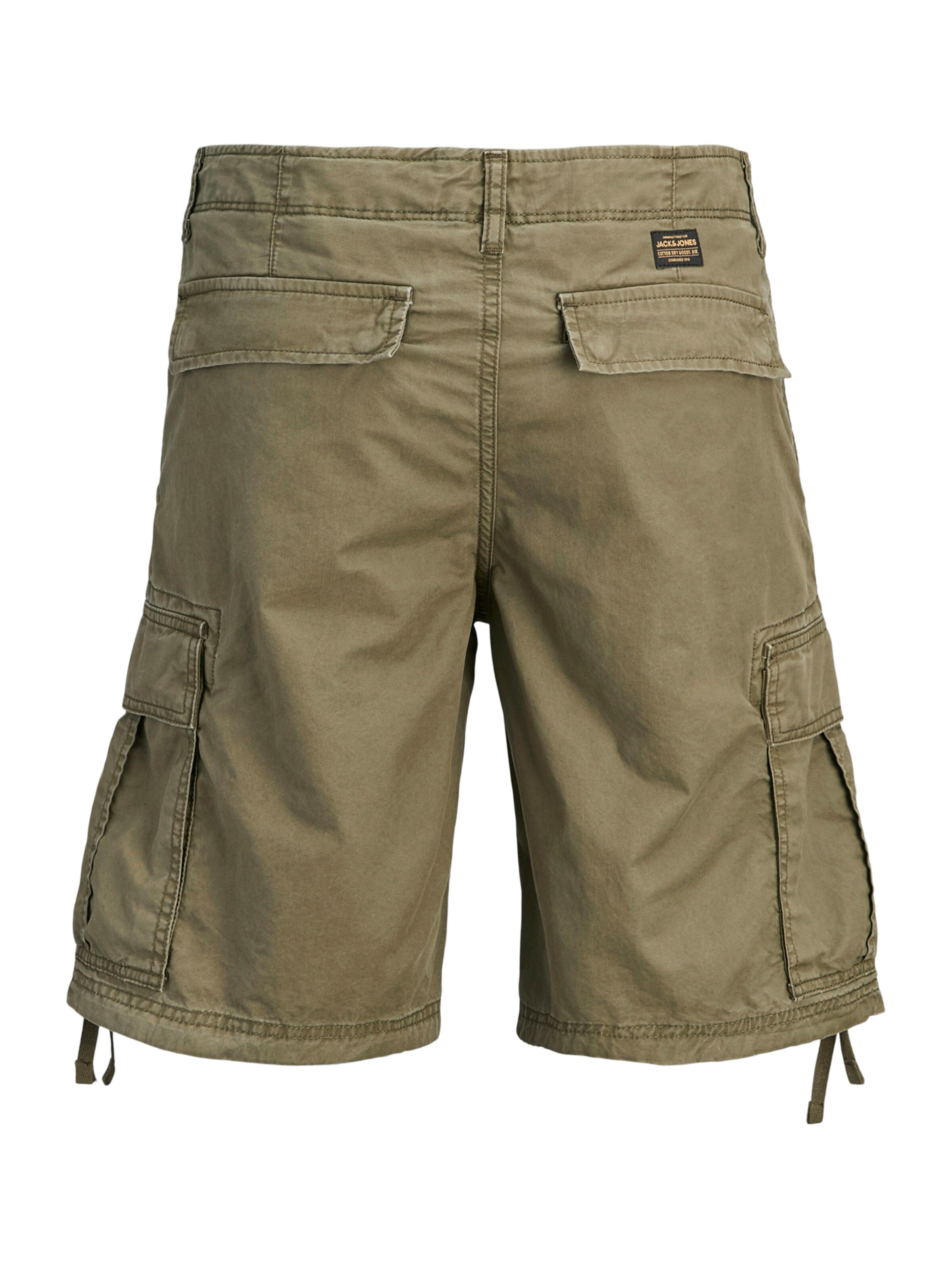 Loosefit Pantalon cargo 'JPSTCole Frank' Jack & Jones Plus en vert