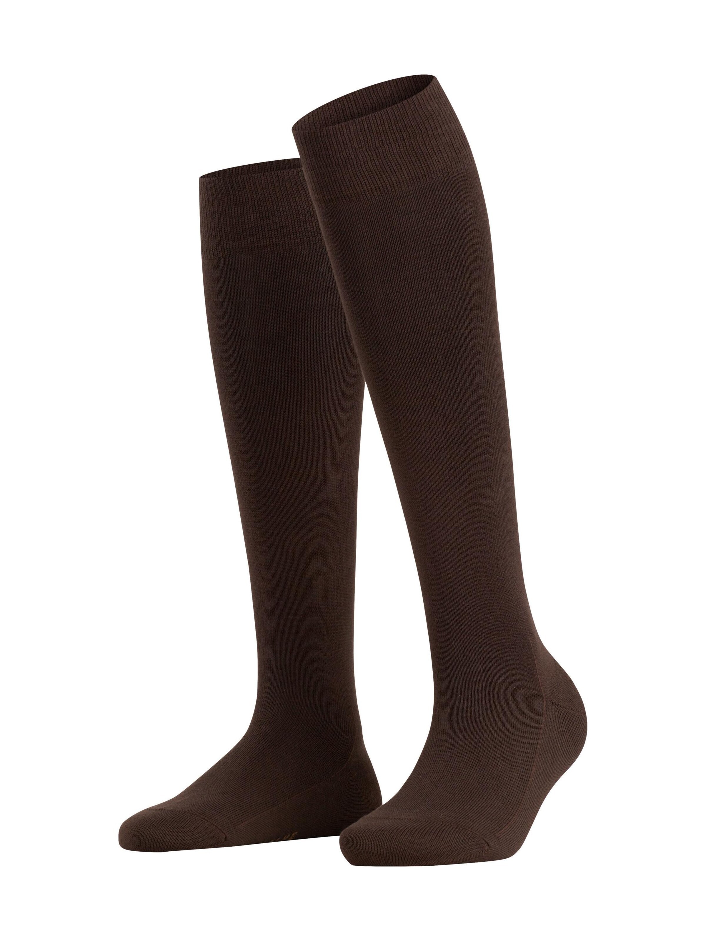 FALKE Knee High Socks 'Family' in Brown: front