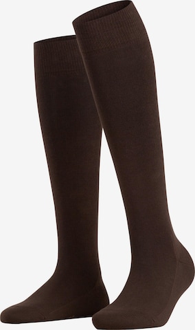FALKE Knee High Socks 'Family' in Brown: front