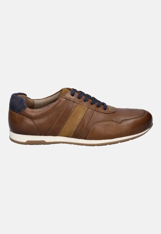 JOSEF SEIBEL Schnürschuh 'Colby 02' in Braun