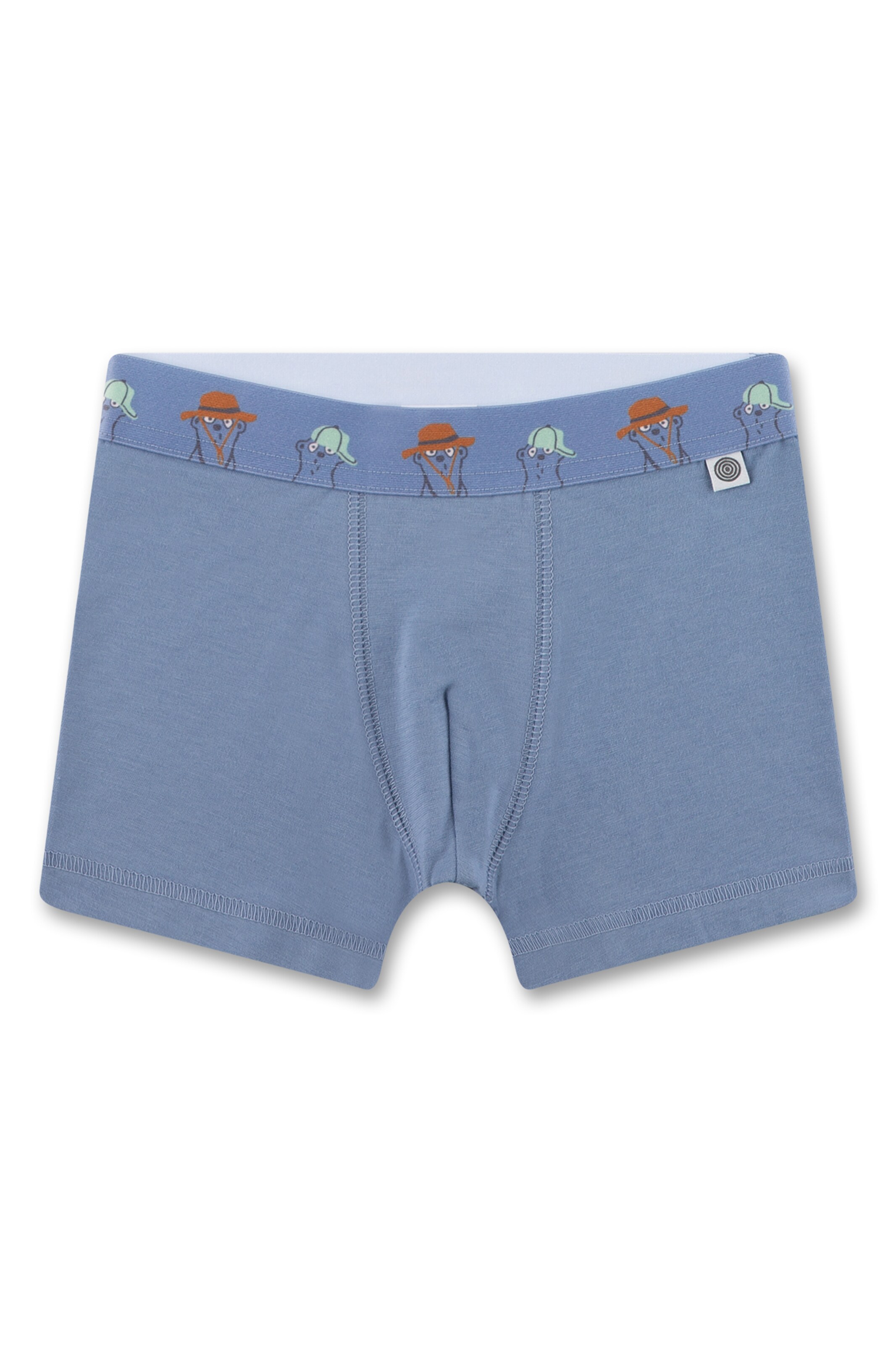 Pantaloncini intimi di Sanetta in blu