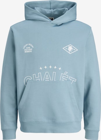 Felpa di JACK & JONES in blu: frontale