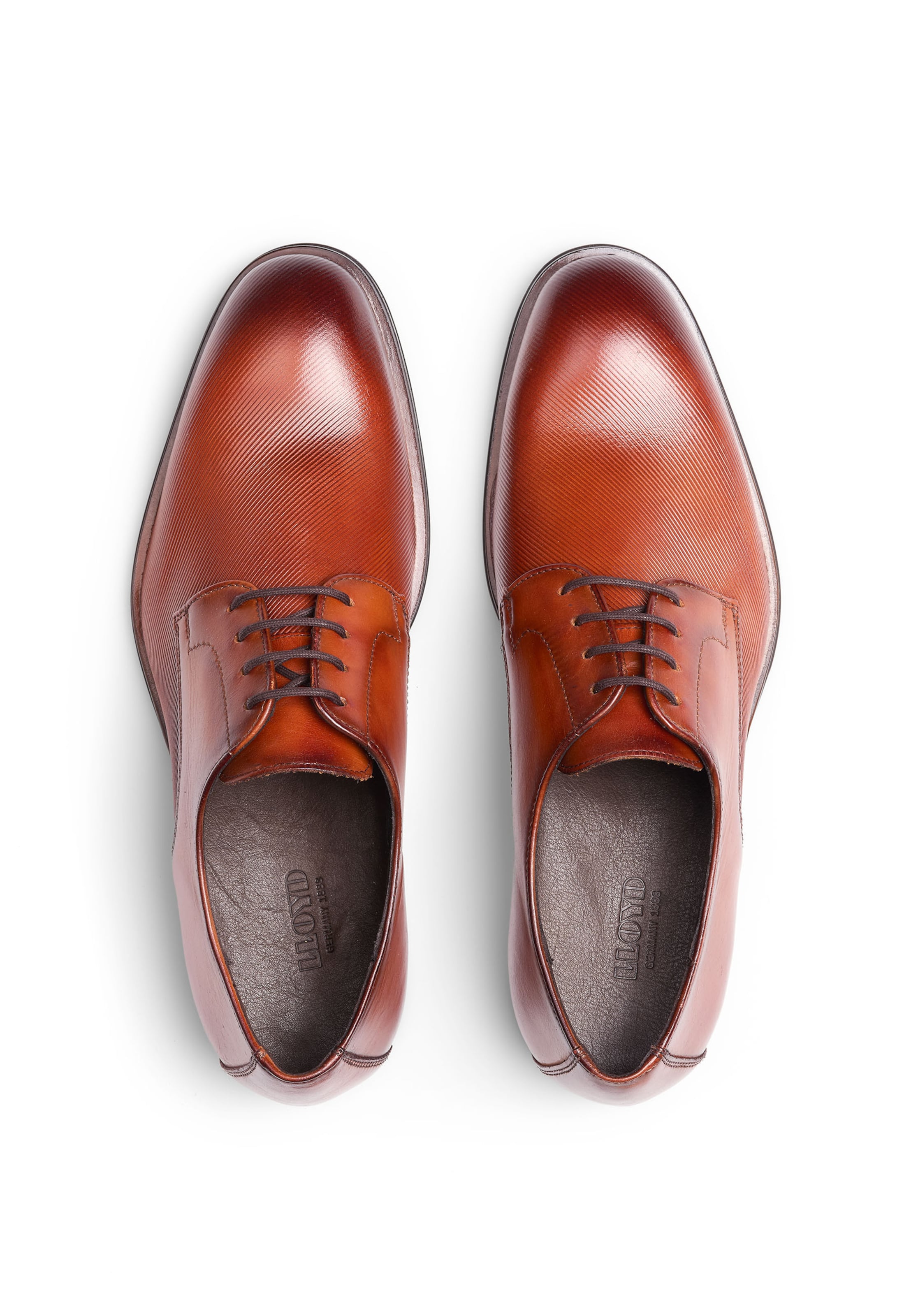 LLOYD Veterschoen in Bruin